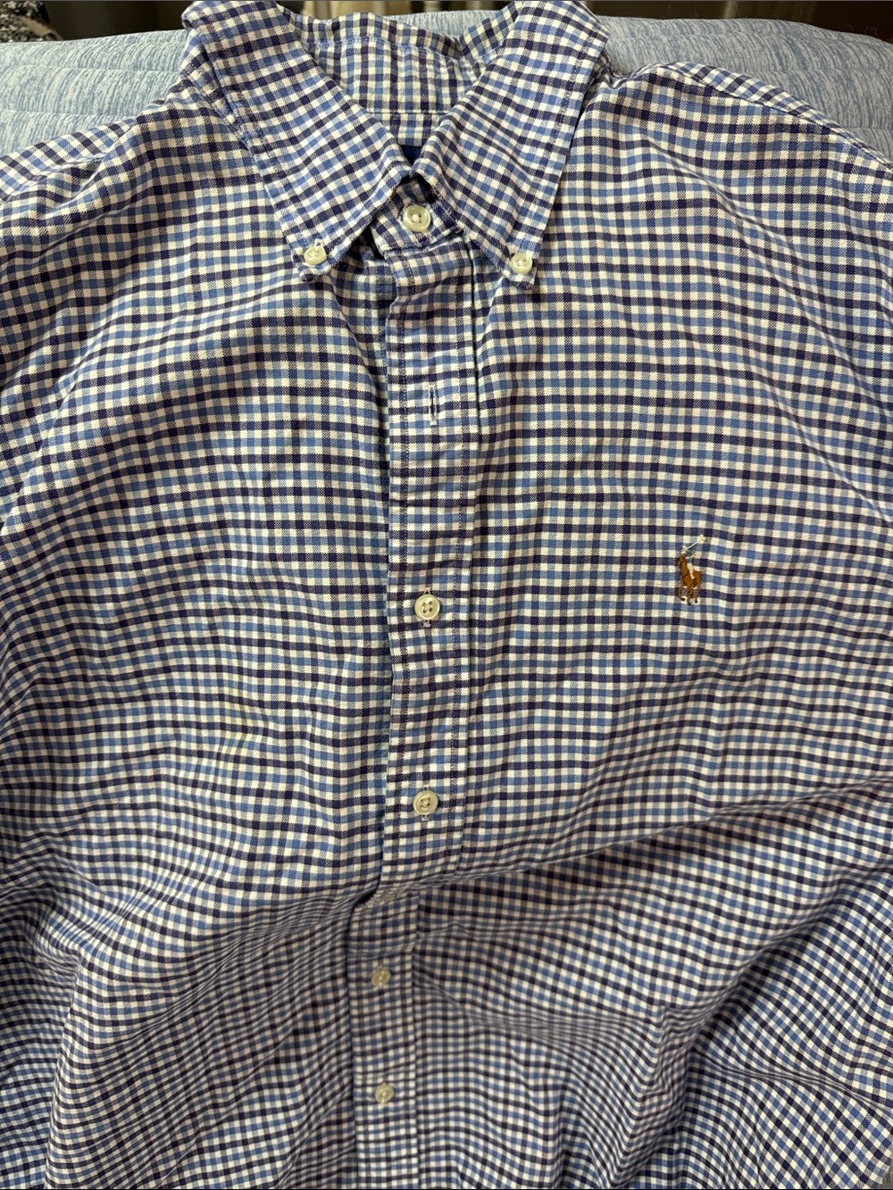 Polo by Ralph Lauren Navy & White Gingham Button-Down Shirt